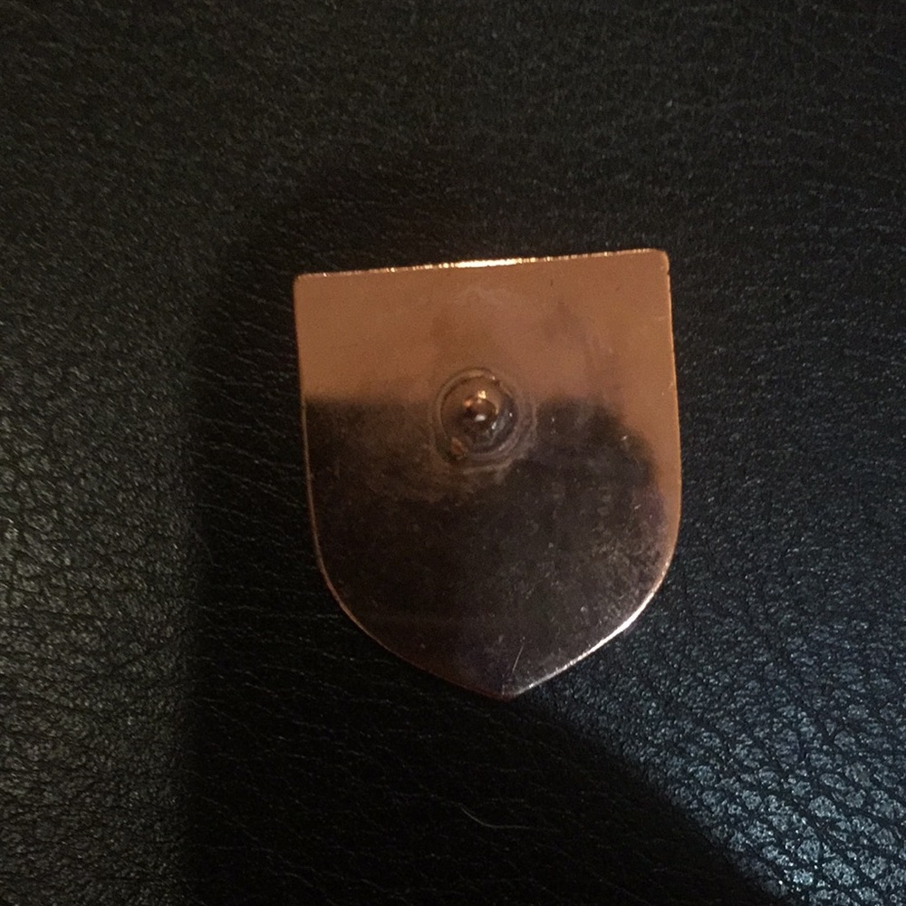 Pin - Picture 3 of 4